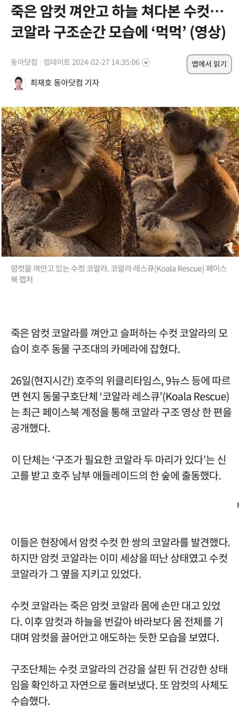 클릭하시면 원본 이미지를 보실 수 있습니다.