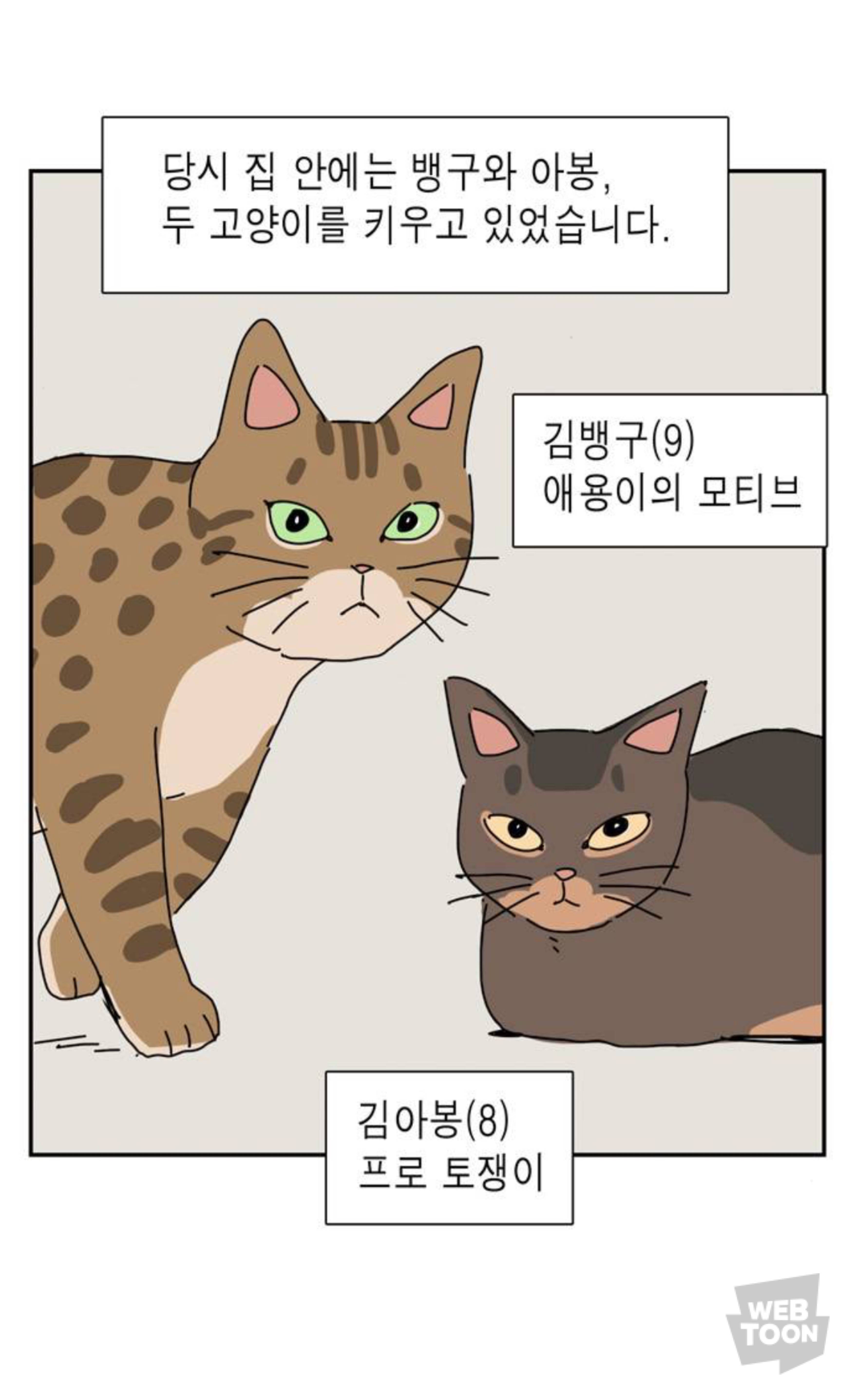 길냥이 입양한 좀비딸 작가 근황 | 인스티즈