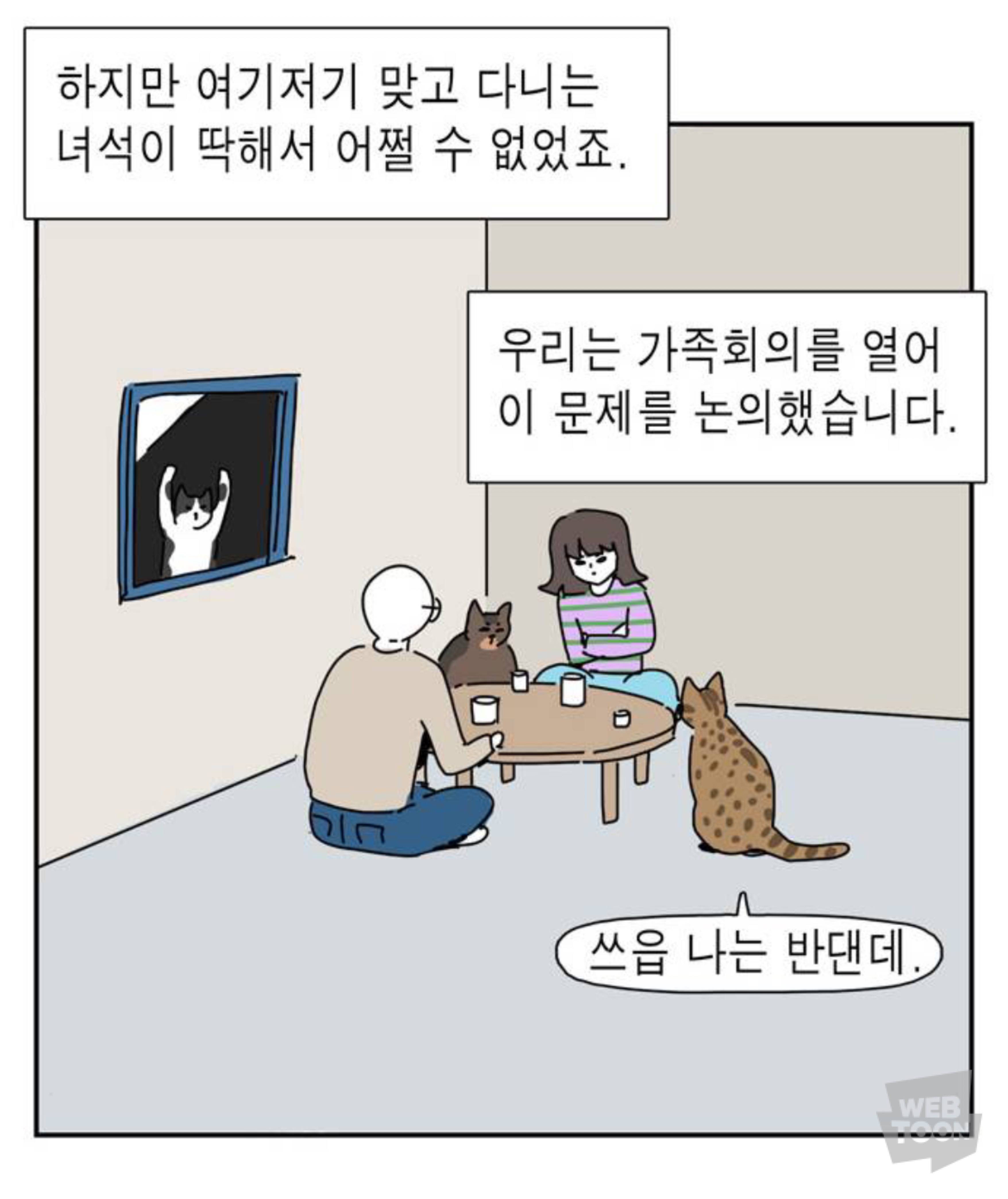 길냥이 입양한 좀비딸 작가 근황 | 인스티즈