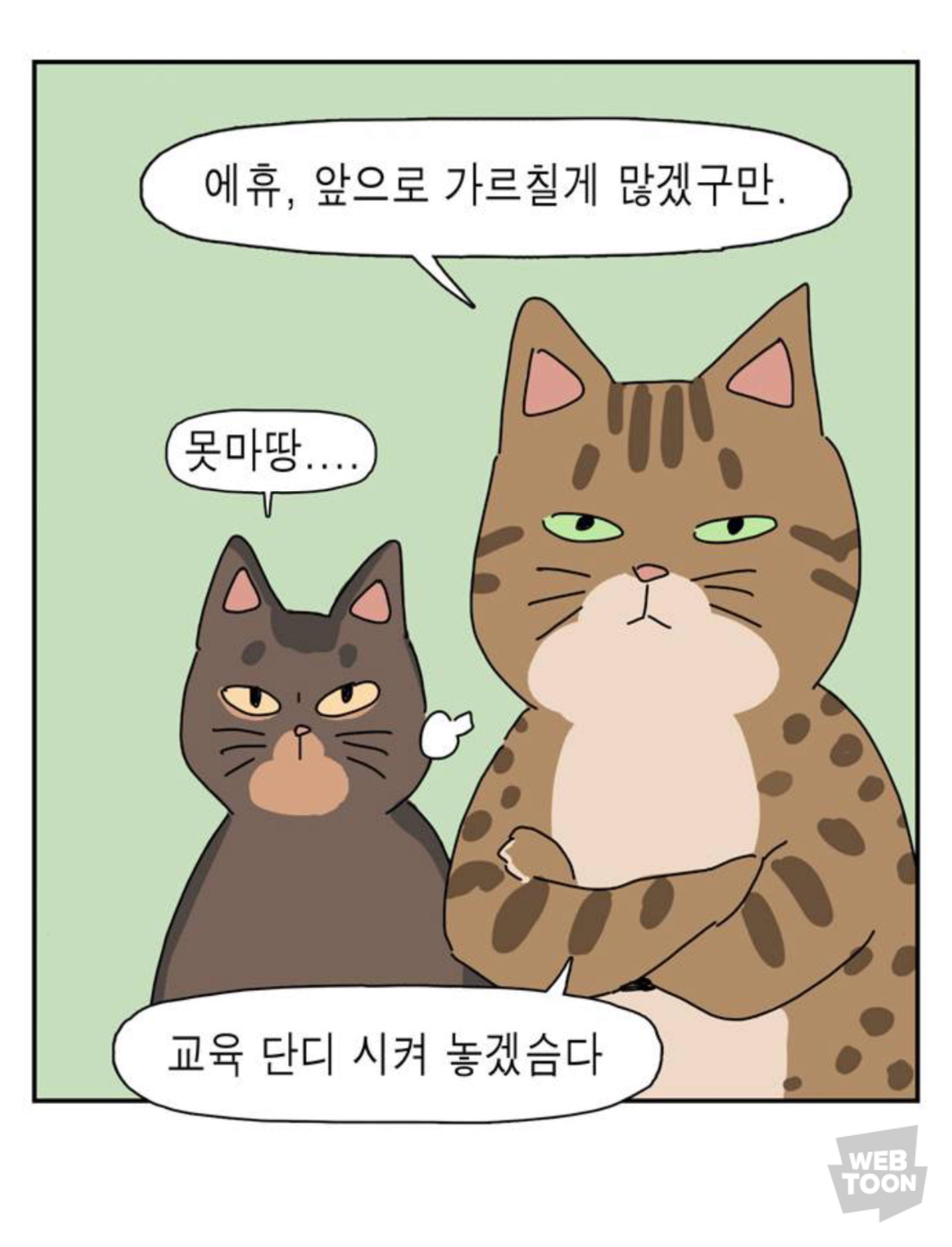 길냥이 입양한 좀비딸 작가 근황 | 인스티즈